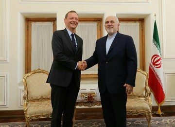دیدار مشاور دیپلماتیک رئیس جمهور فرانسه با ظریف/ عکس