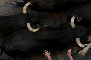 فستیوال سن فرمین در اسپانیا