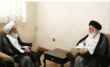 آیت‌الله نوری‌همدانی: احساس شرمندگی می‌کنیم