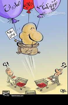 سیب‌زمینی این‌جوری دست‌ نیافتنی شد! 