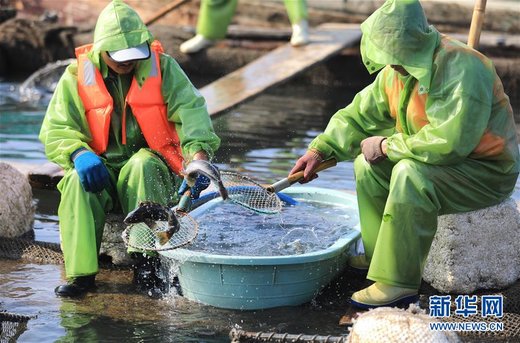 ماهیگیری در آب‌های چین