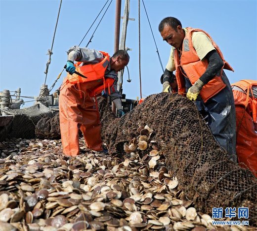 ماهیگیری در آب‌های چین