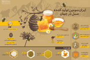 اینفوگرافیک | آماری جالب از تولید عسل در ایران