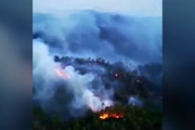 فیلم | آتش‌سوزی گسترده در جنگل‌های «فتحیه» ترکیه