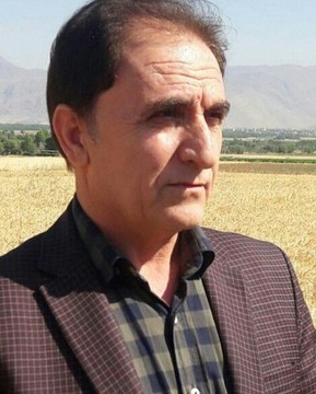۴.۰۰۰ تن دانه روغنی کلزا در لرستان برداشت می‌شود