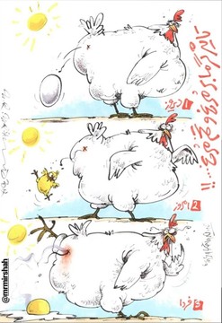 عرضه مستقیم نیمرو آغازشد!