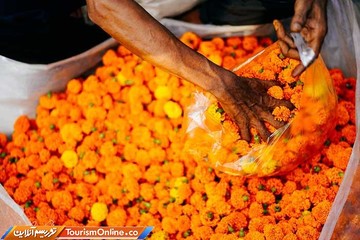 بازار گل کلکته هند