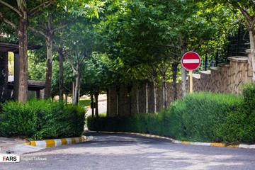 قلعه باستی هیلز