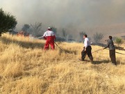 آتش‌سوزی‌های امسال ۴۰۰ هکتار مرتع البرز را خاکستر کرد