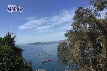 جبل الطارق