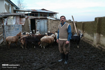 کارآفرینی خانواده روستایی با «عروس جنگل»