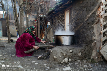 کارآفرینی خانواده روستایی با «عروس جنگل»