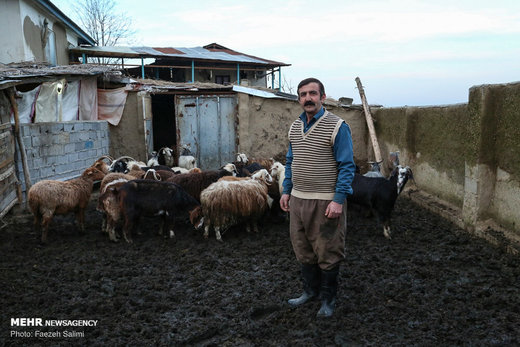 کارآفرینی خانواده روستایی با «عروس جنگل»
