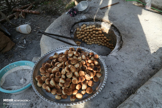 کارآفرینی خانواده روستایی با «عروس جنگل»
