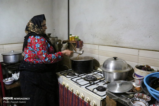 کارآفرینی خانواده روستایی با «عروس جنگل»