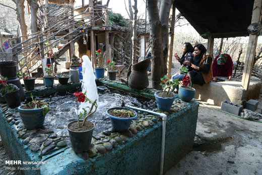 کارآفرینی خانواده روستایی با «عروس جنگل»