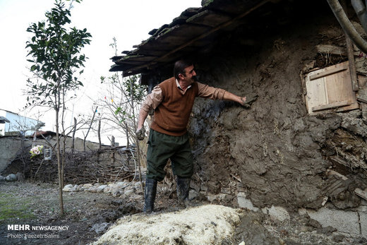 کارآفرینی خانواده روستایی با «عروس جنگل»