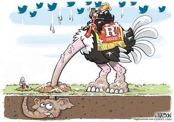 طرفداران ترامپ این‌طوری جیم شدند!