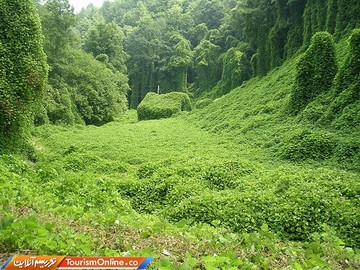 وقتی طبیعت پیروز است