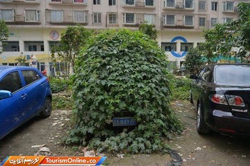 وقتی طبیعت پیروز است