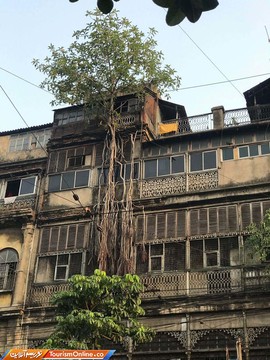 وقتی طبیعت پیروز است