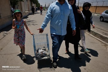 بازار پرندگان خلیج فارس