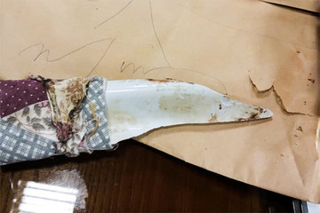 عکس | تکه سرامیکی که با آن علیرضا شیرمحمدعلی را کشتند