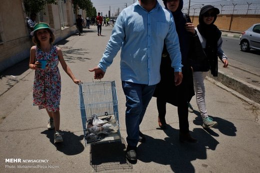 بازار پرندگان خلیج فارس