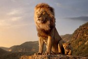 «شیر شاه» با فروش ۵۳۱ میلیون دلار رکورد زد
