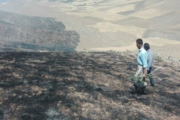 مهار آتش‌سوزی در ۱۰۰ هکتار از مراتع بخش گندمان 