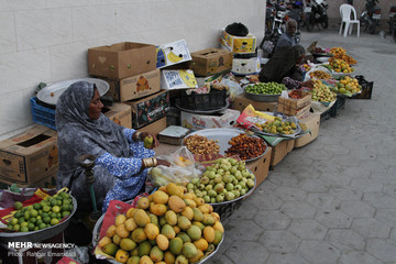 جشنواره شکرگزاری انبه و یاسمین گل در میناب