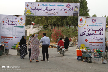 جشنواره شکرگزاری انبه و یاسمین گل در میناب