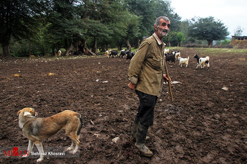 زندگی روستایی در مازندران