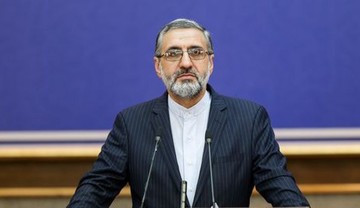 جزییات پرونده‌ دستگیری جاسوسان آمریکایی از زبان اسماعیلی