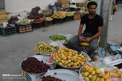 جشنواره شکرگزاری انبه و یاسمین گل در میناب