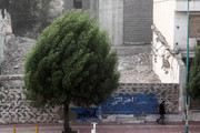 تهرانی‌ها منتظر وزش باد شدید باشند