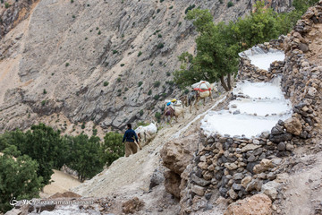 روستای سرآقاسید استان کهگیلویه و بویراحمد