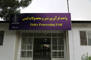 دانشگاه تبریز واحد فراوری محصولات لبنی ایجاد کرد