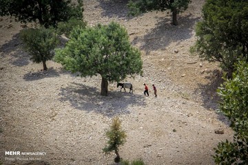 اوقات فراغت در روستاهای منطقه موگویی استان چهارمحال و بختیاری