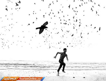عکس برنده مسابقه آیفون گرافی یا عکاسی با آیفون