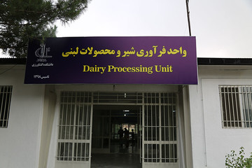 دانشگاه تبریز واحد فراوری محصولات لبنی ایجاد کرد