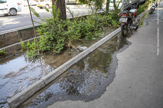 هدر رفت آب در سیستم آبیاری فضای سبز شهری