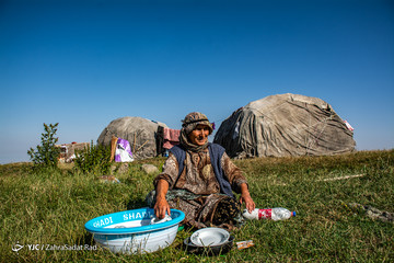 عشایر شاهسون