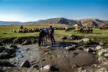 عشایر شاهسون