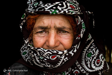 عشایر شاهسون