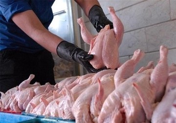 قیمت مرغ صادراتی کیلویی 2 دلار/ قیمت مصوب برای داخل ۱۲.۹۰۰ تومان