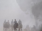 عکس | سفر در گرد و غبار در عکس روز نشنال جئوگرافیک
