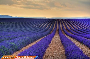 پروانس - فرانسه-