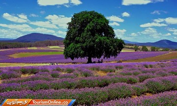 ویکتوریا - استرالیا -
