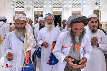 زائران در مدینه منوره